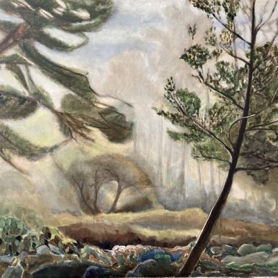 LUMIERES ET BRUMES 100X73