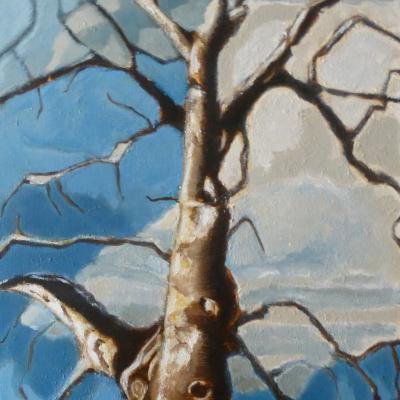 BOIS DE BOULOGNE 35X27