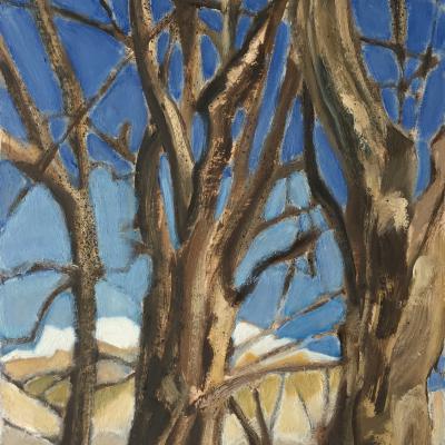 MONTAGNE DE LURE 23X19