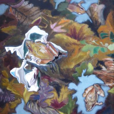 LE CRAPAUD JAUNE 30 X30