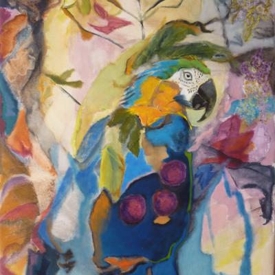 PERROQUET CARNAVAL 61X50