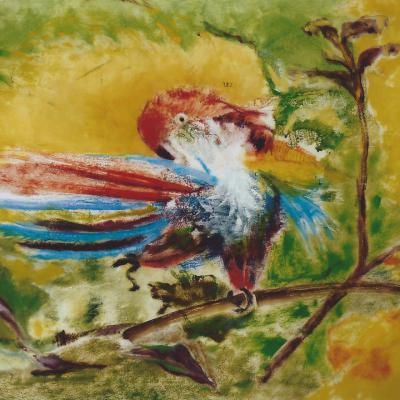 LA DANSE DU PERROQUET 46X61