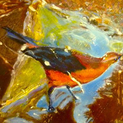 CIEL SUR TERRE 22X16